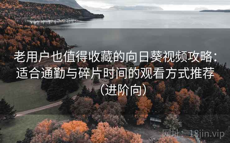老用户也值得收藏的向日葵视频攻略：适合通勤与碎片时间的观看方式推荐（进阶向）