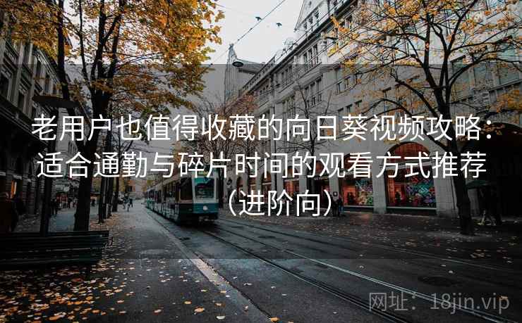 老用户也值得收藏的向日葵视频攻略：适合通勤与碎片时间的观看方式推荐（进阶向）