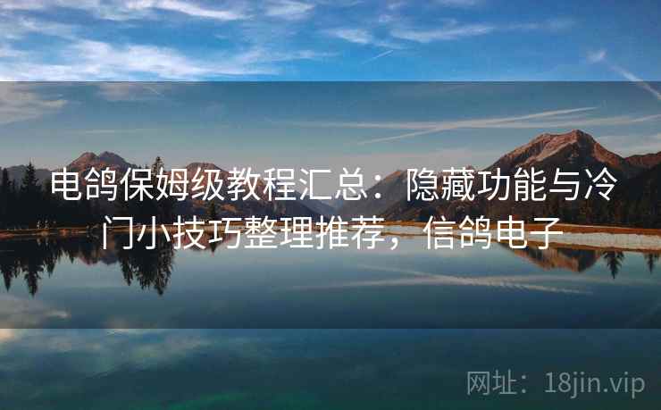 电鸽保姆级教程汇总：隐藏功能与冷门小技巧整理推荐，信鸽电子