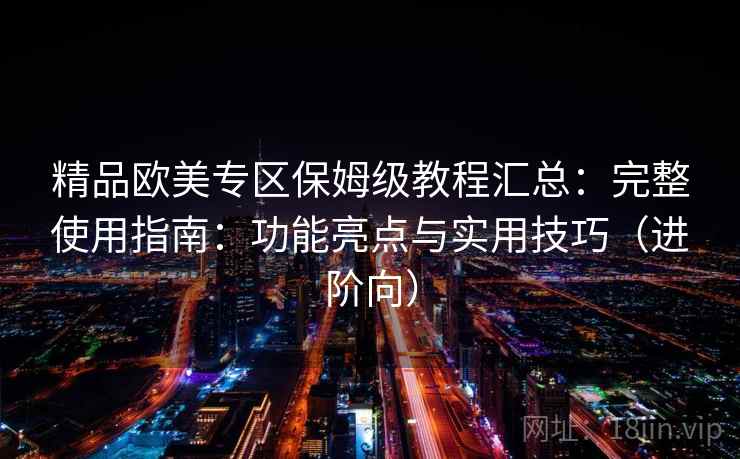 精品欧美专区保姆级教程汇总：完整使用指南：功能亮点与实用技巧（进阶向）