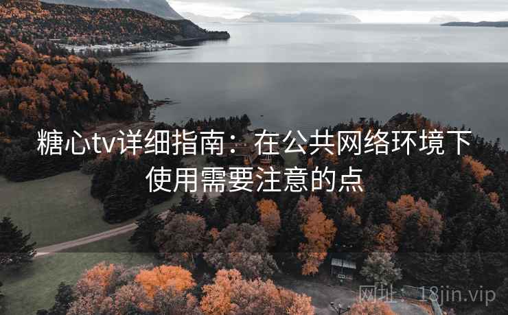糖心tv详细指南：在公共网络环境下使用需要注意的点