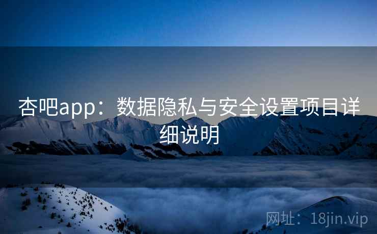 杏吧app：数据隐私与安全设置项目详细说明