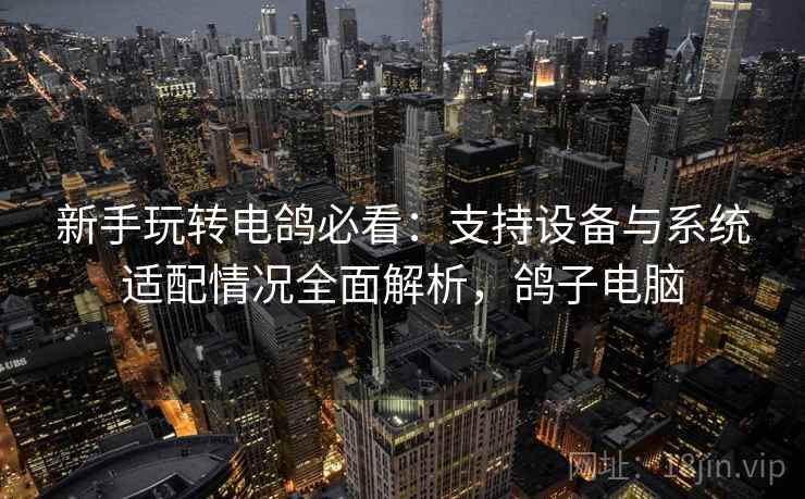 新手玩转电鸽必看：支持设备与系统适配情况全面解析，鸽子电脑