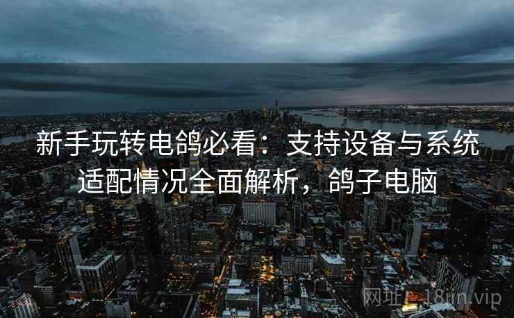 新手玩转电鸽必看：支持设备与系统适配情况全面解析，鸽子电脑