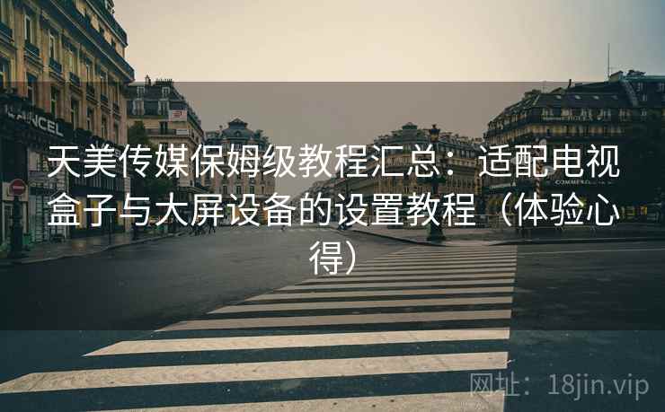 天美传媒保姆级教程汇总：适配电视盒子与大屏设备的设置教程（体验心得）