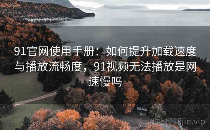 91官网使用手册：如何提升加载速度与播放流畅度，91视频无法播放是网速慢吗