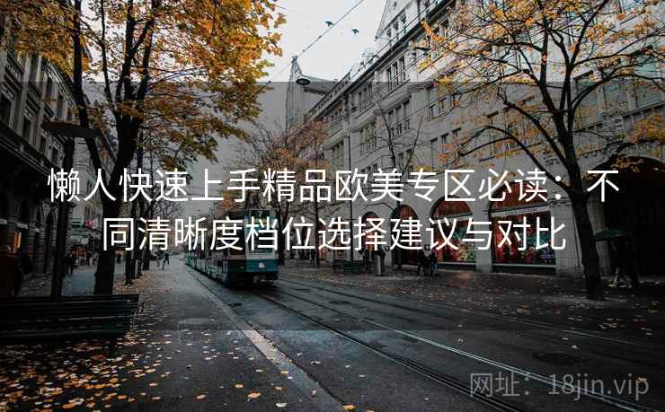 懒人快速上手精品欧美专区必读:不同清晰度档位选择建议与对比 懒人快速上手精品欧美专区必读:不同清晰度档位选择建议与对比