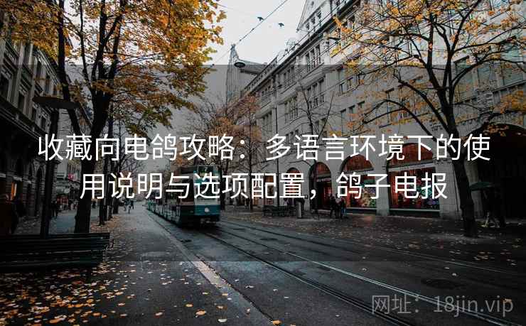 收藏向电鸽攻略：多语言环境下的使用说明与选项配置，鸽子电报