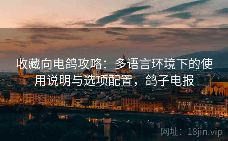 收藏向电鸽攻略：多语言环境下的使用说明与选项配置，鸽子电报