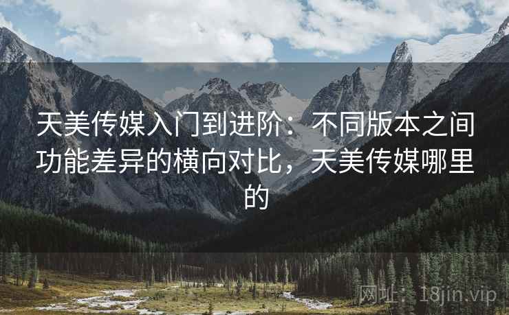天美传媒入门到进阶:不同版本之间功能差异的横向对比,天美传媒哪里的 天美传媒入门到进阶:不同版本之间功能差异的横向对比,天美传媒哪里的